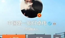 狗仔爆料实锤视频播放,揭秘明星隐私瞬间